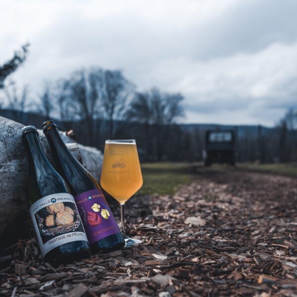 Saison Day Double Release! Senescence + Partage de Pêche