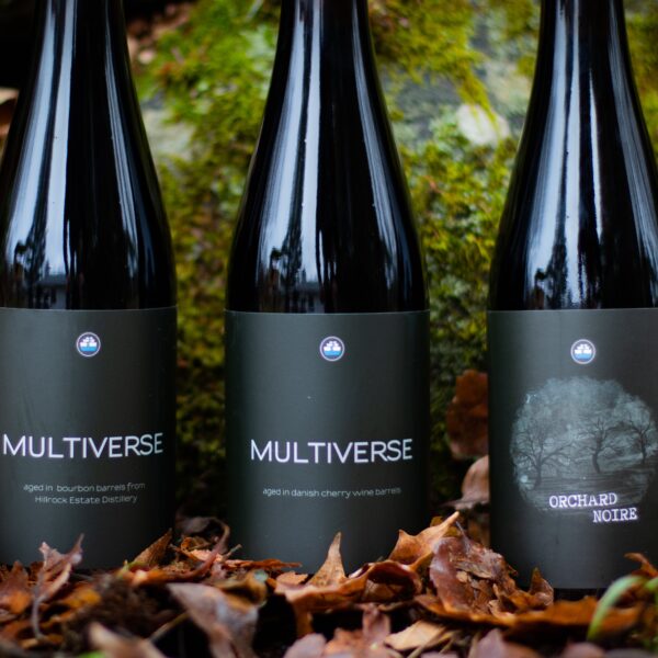 Multiverse Day
